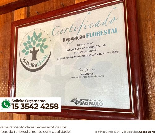 317338859_568646691932527_258197439250390481_n